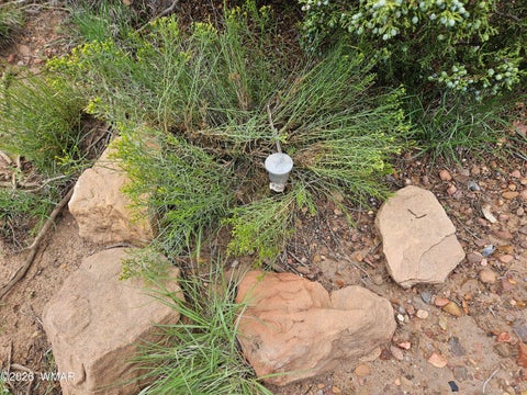 Tiny photo for TBD Birdwing Lane, Clay Springs, AZ 85923 (MLS # 262492)