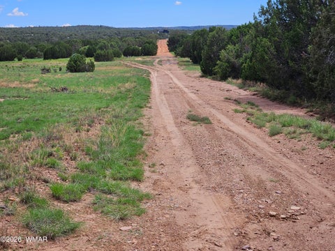 Tiny photo for TBD Birdwing Lane, Clay Springs, AZ 85923 (MLS # 262492)