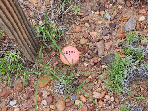 Tiny photo for TBD Birdwing Lane, Clay Springs, AZ 85923 (MLS # 262492)