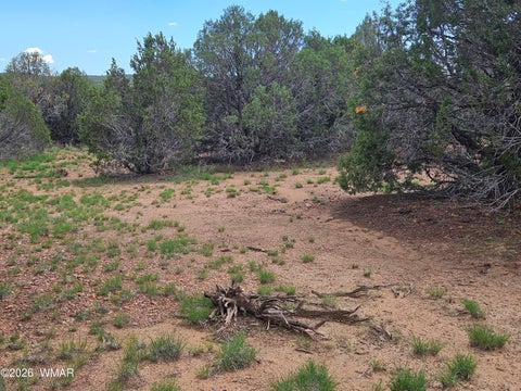Tiny photo for TBD Birdwing Lane, Clay Springs, AZ 85923 (MLS # 262492)