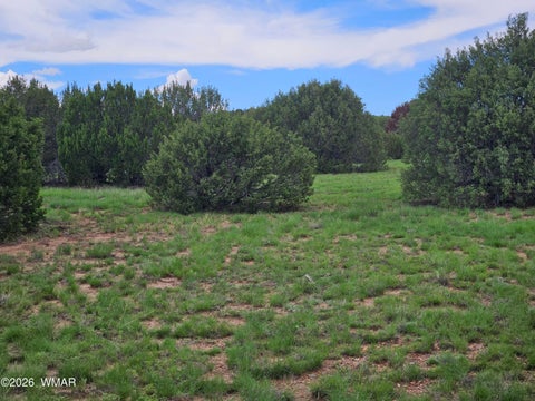 Tiny photo for TBD Birdwing Lane, Clay Springs, AZ 85923 (MLS # 262492)