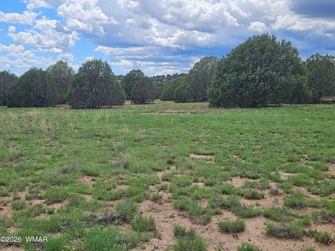 Tiny photo for TBD Birdwing Lane, Clay Springs, AZ 85923 (MLS # 262492)