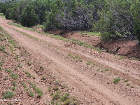 Tiny photo for TBD Birdwing Lane, Clay Springs, AZ 85923 (MLS # 262492)