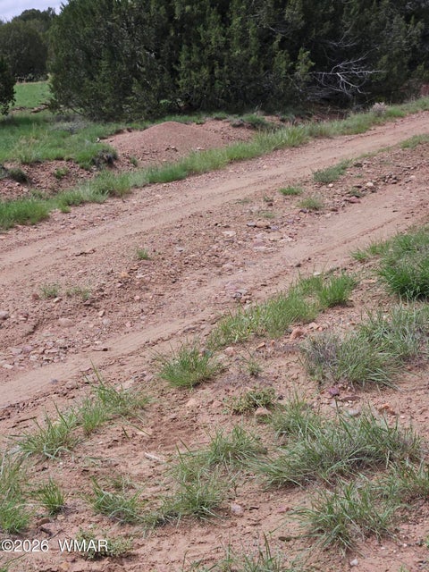 Tiny photo for TBD Birdwing Lane, Clay Springs, AZ 85923 (MLS # 262492)