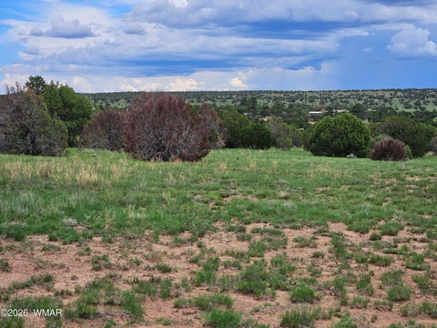 Tiny photo for TBD Birdwing Lane, Clay Springs, AZ 85923 (MLS # 262492)