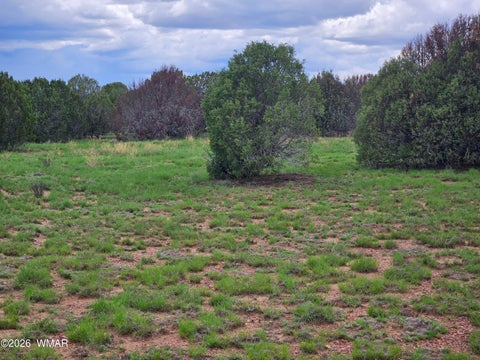 Tiny photo for TBD Birdwing Lane, Clay Springs, AZ 85923 (MLS # 262492)
