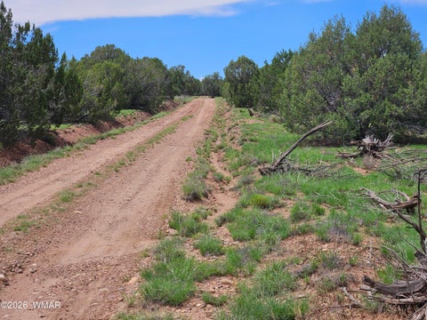 Tiny photo for TBD Birdwing Lane, Clay Springs, AZ 85923 (MLS # 262492)