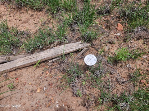 Tiny photo for TBD Birdwing Lane, Clay Springs, AZ 85923 (MLS # 262492)