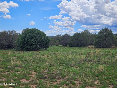 Tiny photo for TBD Birdwing Lane, Clay Springs, AZ 85923 (MLS # 262492)