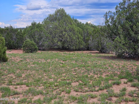 Tiny photo for TBD Birdwing Lane, Clay Springs, AZ 85923 (MLS # 262492)