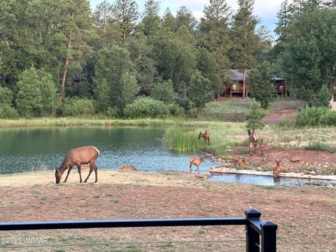 Tiny photo for 1620 S Torreon Lakes Drive, Show Low, AZ 85901 (MLS # 255332)