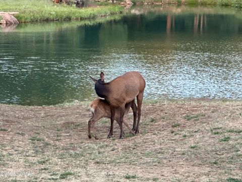 Tiny photo for 1620 S Torreon Lakes Drive, Show Low, AZ 85901 (MLS # 255332)