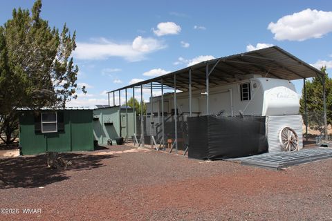 Tiny photo for 2042 Supancheck Road, Show Low, AZ 85901 (MLS # 259088)