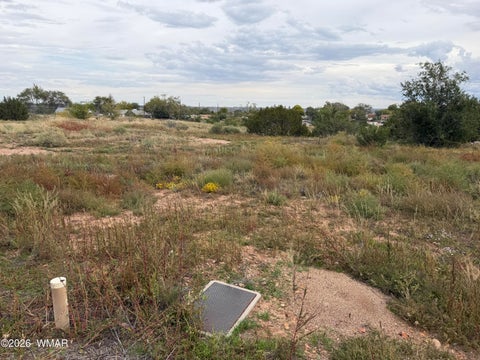 Tiny photo for 899 S Sunset Drive, Snowflake, AZ 85937 (MLS # 263588)