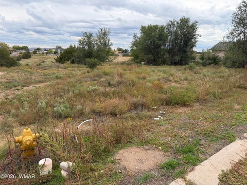 Tiny photo for 899 S Sunset Drive, Snowflake, AZ 85937 (MLS # 263588)