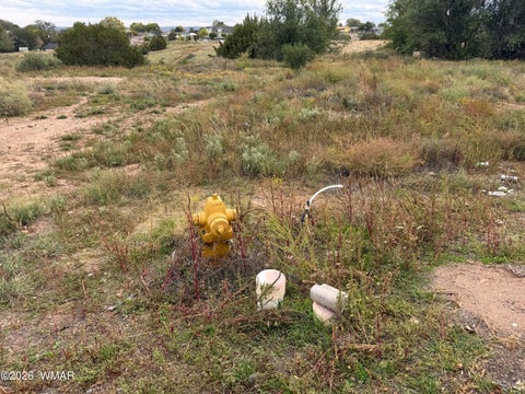 Tiny photo for 899 S Sunset Drive, Snowflake, AZ 85937 (MLS # 263588)