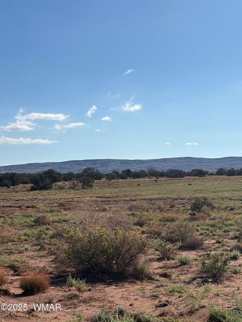 Photo of A County Road 5576, Concho, AZ 85924 (MLS # 258242)