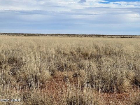 Tiny photo for 6609 Lilac Road, Snowflake, AZ 85937 (MLS # 258109)