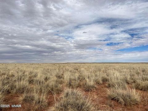 Tiny photo for 6609 Lilac Road, Snowflake, AZ 85937 (MLS # 258109)