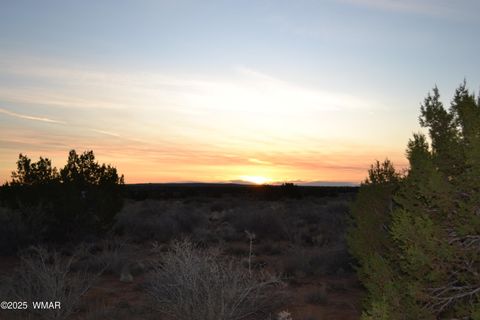 Tiny photo for Lot 020B E 24th N Street, Snowflake, AZ 85937 (MLS # 255620)