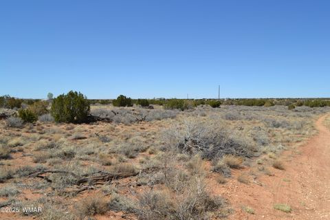 Tiny photo for Lot 020B E 24th N Street, Snowflake, AZ 85937 (MLS # 255620)