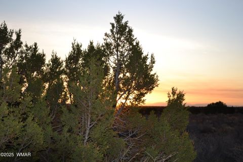 Tiny photo for Lot 020B E 24th N Street, Snowflake, AZ 85937 (MLS # 255620)