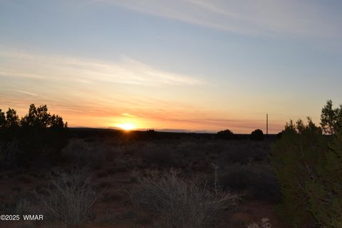 Tiny photo for Lot 020B E 24th N Street, Snowflake, AZ 85937 (MLS # 255620)