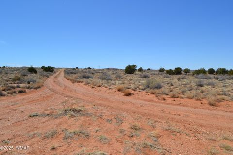 Tiny photo for Lot 020B E 24th N Street, Snowflake, AZ 85937 (MLS # 255620)