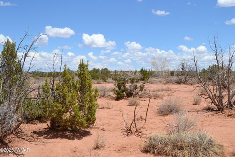 Tiny photo for Lot 020B E 24th N Street, Snowflake, AZ 85937 (MLS # 255620)