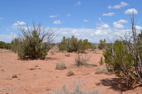 Tiny photo for Lot 020B E 24th N Street, Snowflake, AZ 85937 (MLS # 255620)