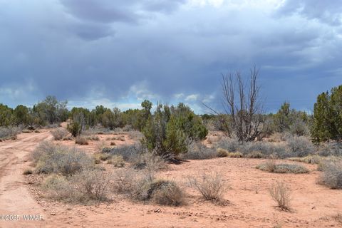 Tiny photo for Lot 020B E 24th N Street, Snowflake, AZ 85937 (MLS # 255620)