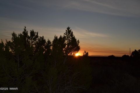 Tiny photo for Lot 020B E 24th N Street, Snowflake, AZ 85937 (MLS # 255620)
