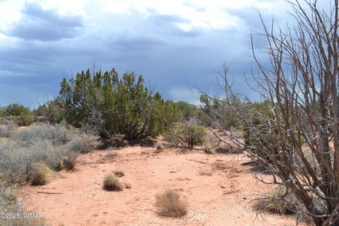Tiny photo for Lot 020B E 24th N Street, Snowflake, AZ 85937 (MLS # 255620)