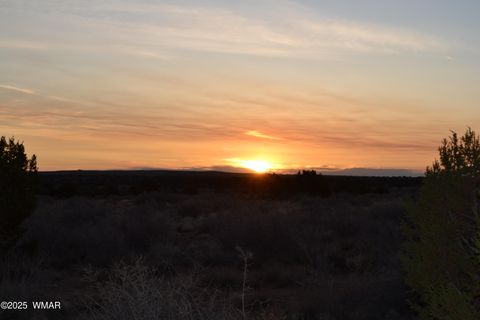 Tiny photo for Lot 020B E 24th N Street, Snowflake, AZ 85937 (MLS # 255620)