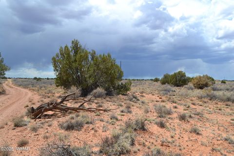 Photo of Lot 020B E 24th N Street, Snowflake, AZ 85937 (MLS # 255620)