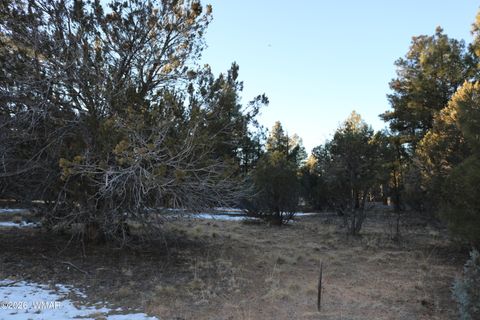 Tiny photo for 4610 W Hawthorn Road, Show Low, AZ 85901 (MLS # 259364)