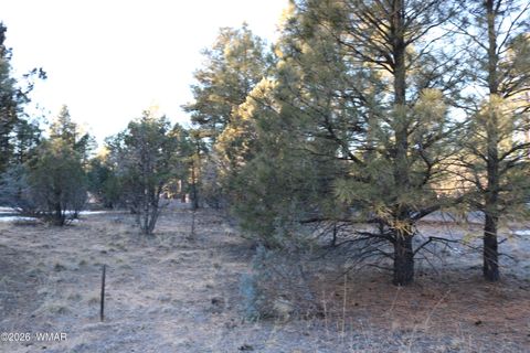 Tiny photo for 4610 W Hawthorn Road, Show Low, AZ 85901 (MLS # 259364)
