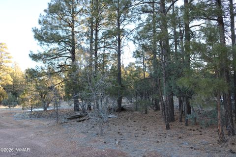 Tiny photo for 4610 W Hawthorn Road, Show Low, AZ 85901 (MLS # 259364)