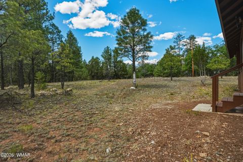 Tiny photo for 2631 Velvet Antler Trail, Happy Jack, AZ 86024 (MLS # 261548)