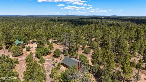 Tiny photo for 2631 Velvet Antler Trail, Happy Jack, AZ 86024 (MLS # 261548)