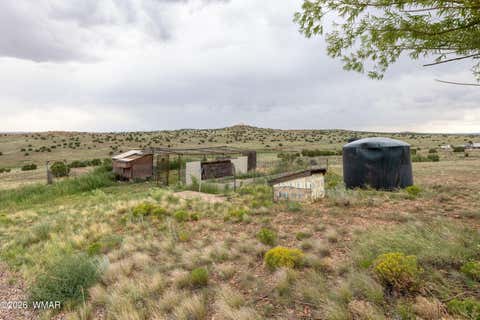 Tiny photo for 800 S Arena Estates Drive, Taylor, AZ 85939 (MLS # 262672)