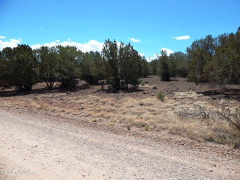 Photo of 8337 Navajo Drive, Show Low, AZ 85901 (MLS # 260584)