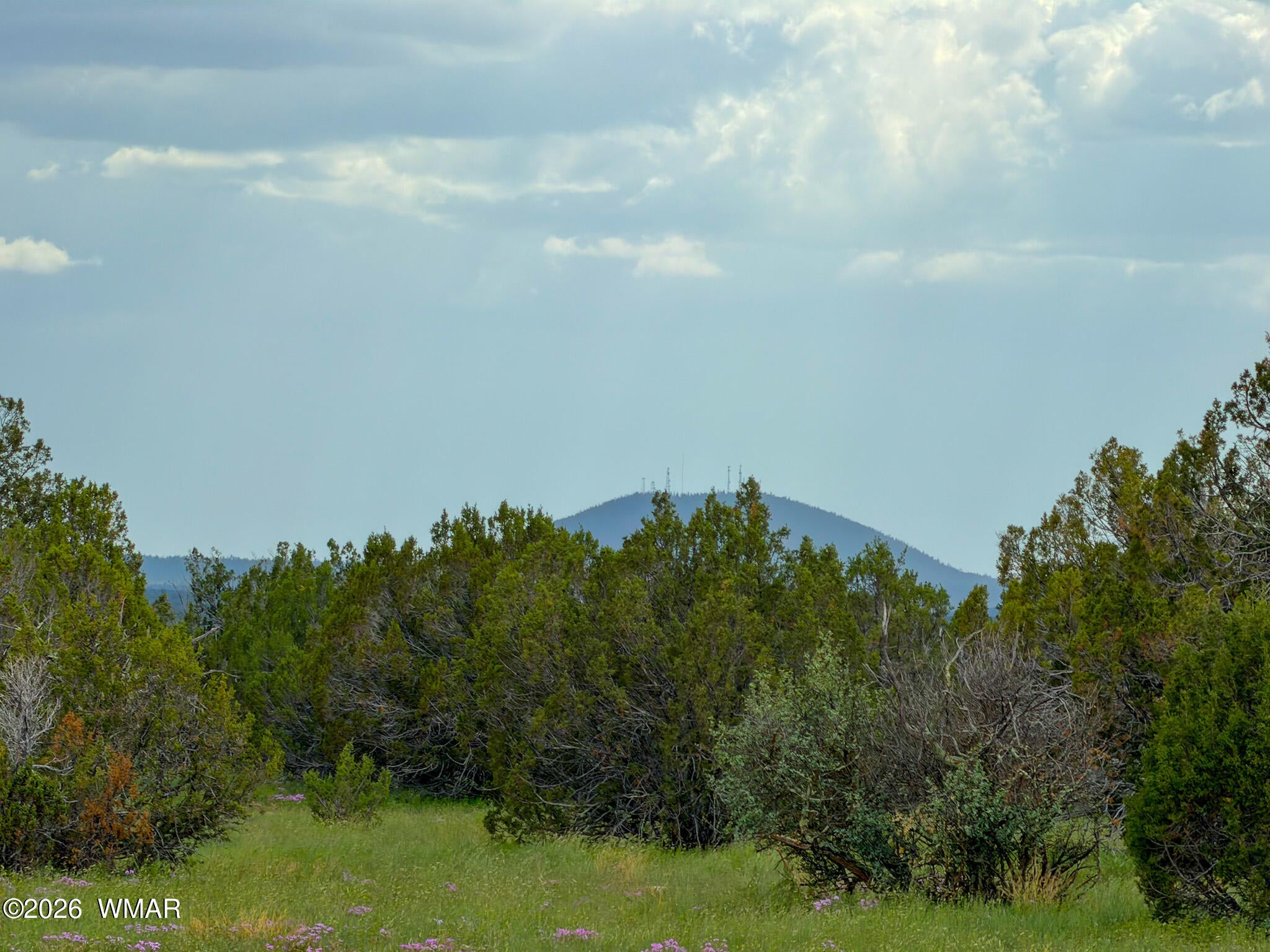 0 E GAMPLE LN. 39 ACRES