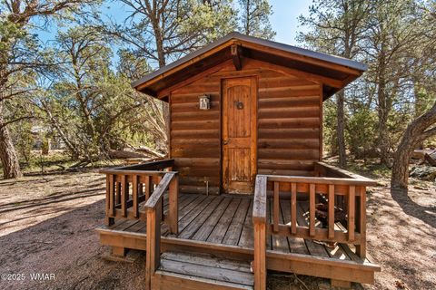 Tiny photo for 2948 Wildcat Trail, Overgaard, AZ 85933 (MLS # 258388)