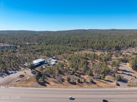 Tiny photo for 4600 S White Mountain Road, Show Low, AZ 85901 (MLS # 262151)