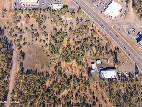 Tiny photo for 4600 S White Mountain Road, Show Low, AZ 85901 (MLS # 262151)