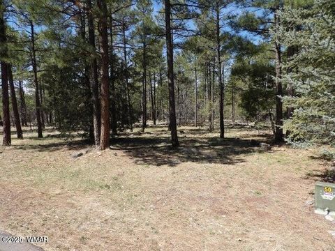 Photo of 922 Pine Creek Drive, Lakeside, AZ 85929 (MLS # 257017)