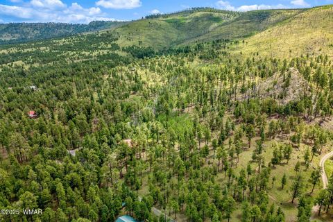 Tiny photo for 16 N1062, Greer, AZ 85927 (MLS # 255079)