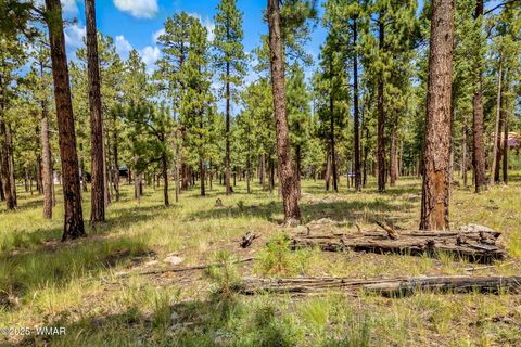 Tiny photo for 16 N1062, Greer, AZ 85927 (MLS # 255079)