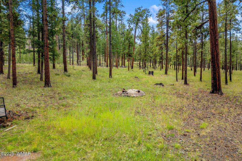 Photo for 16 N1062, Greer, AZ 85927 (MLS # 255079)